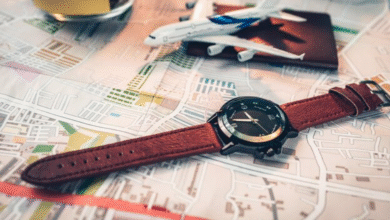 Watch Travel Case