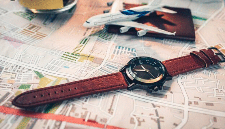 Watch Travel Case